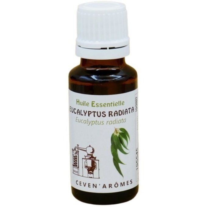 huile-essentielle-eucalyptus-radiata-20ml-cevenaromes-douceurdessens.jpg