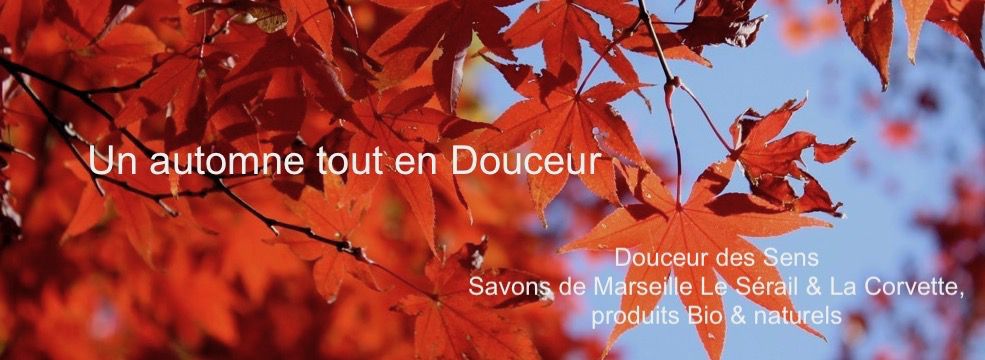 Un automne tout en Douceur