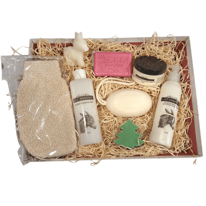 Coffret cadeau Noël lait d'ânesse