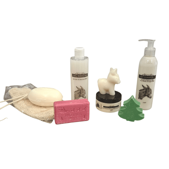 Coffret cadeau Noël lait d'ânesse