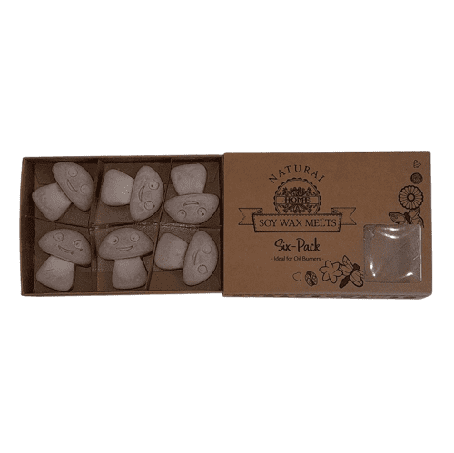 Boite 6 Fondants en cire de Soja-Bois de santal foncé