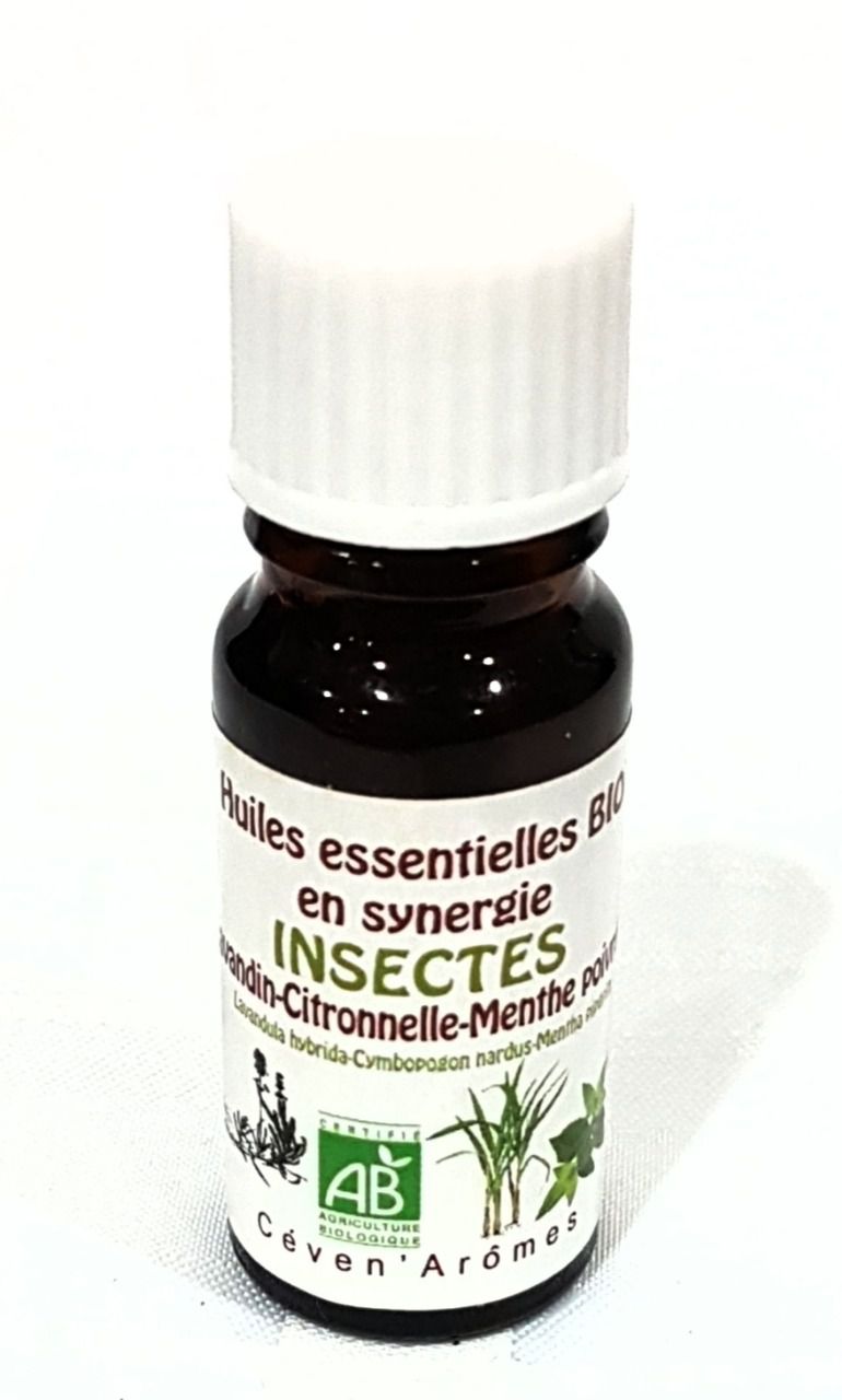 Huile essentielle - Menthe poivrée – The Vegetal Lab Experience