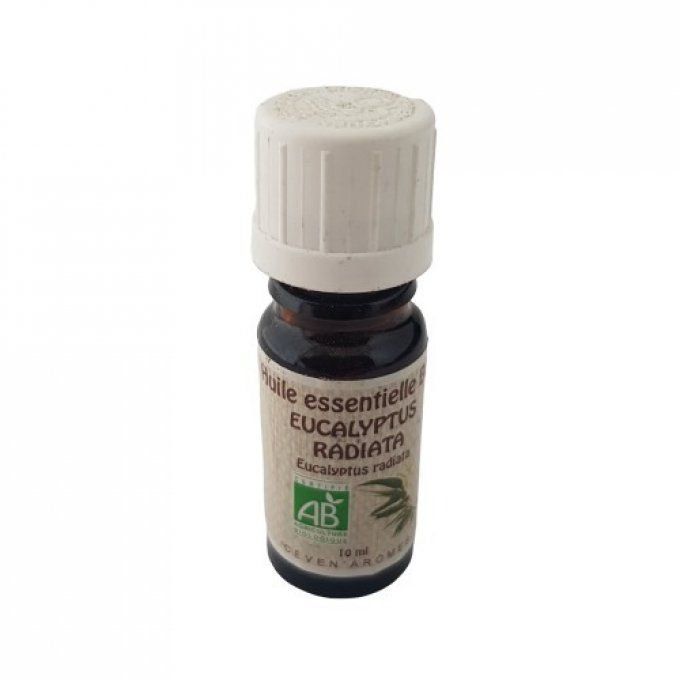 huile-essentielle-eucalyptus-radiata-bio-douceur-des-sens-1.jpg