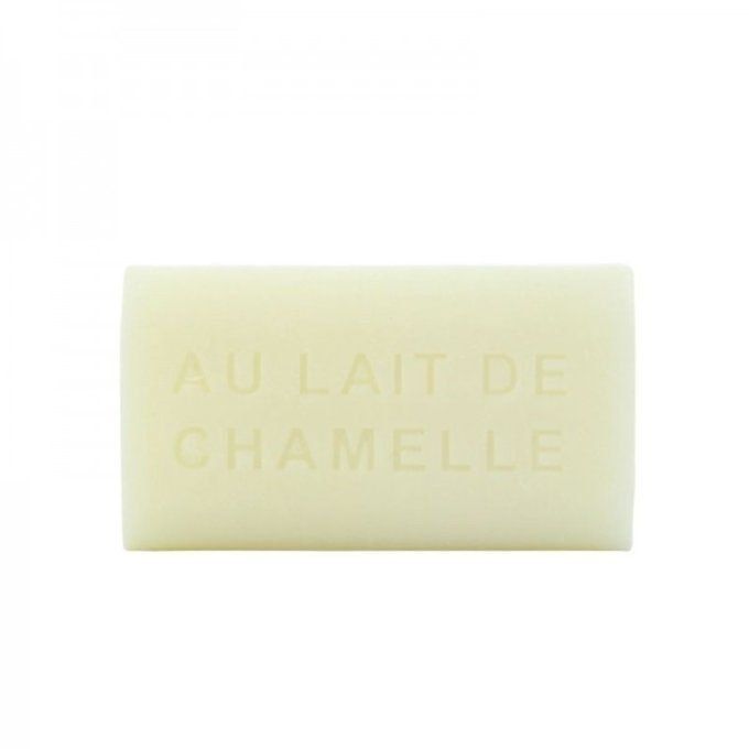 savon-coupe-lait-chamelle-100g-douceur-des-sens-1.jpg