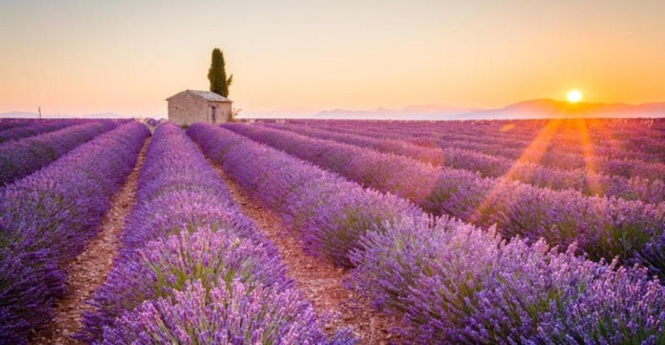 huiles-essentielles-ceven-aromes-bio-douceur-des-sens.jpg