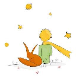 Petit-prince-bébé-bio-douceur-des-sens.jpg
